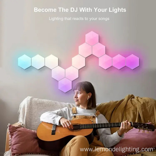 Wifi Linkable Dimmable Rgbic Led Hexagon Panel Lights